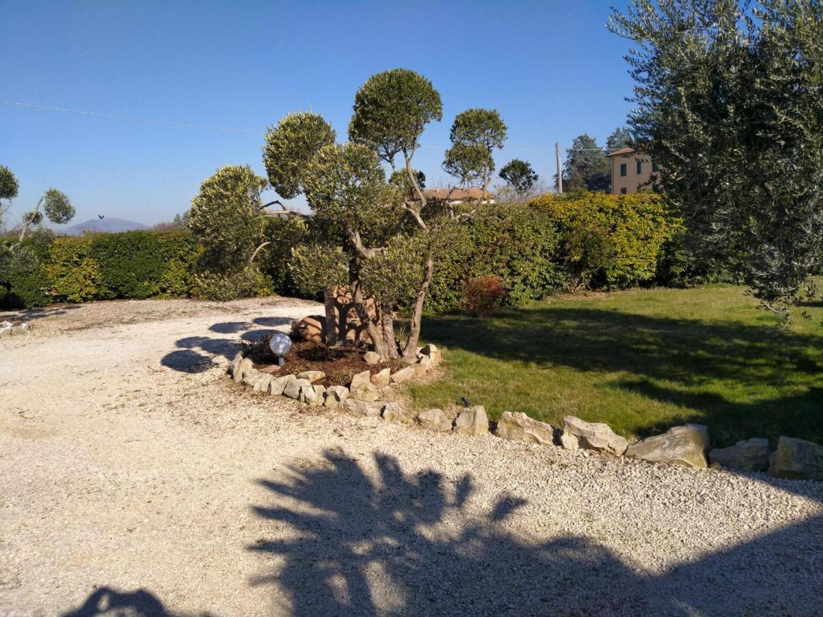 La Perla Di Guest house