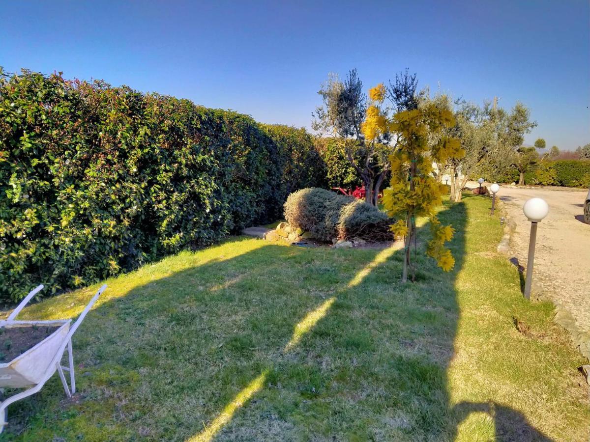 La Perla Di Guest house Assisi