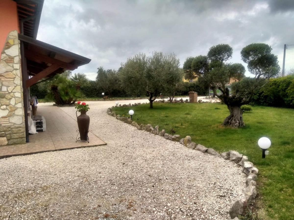 Guest house La Perla Di