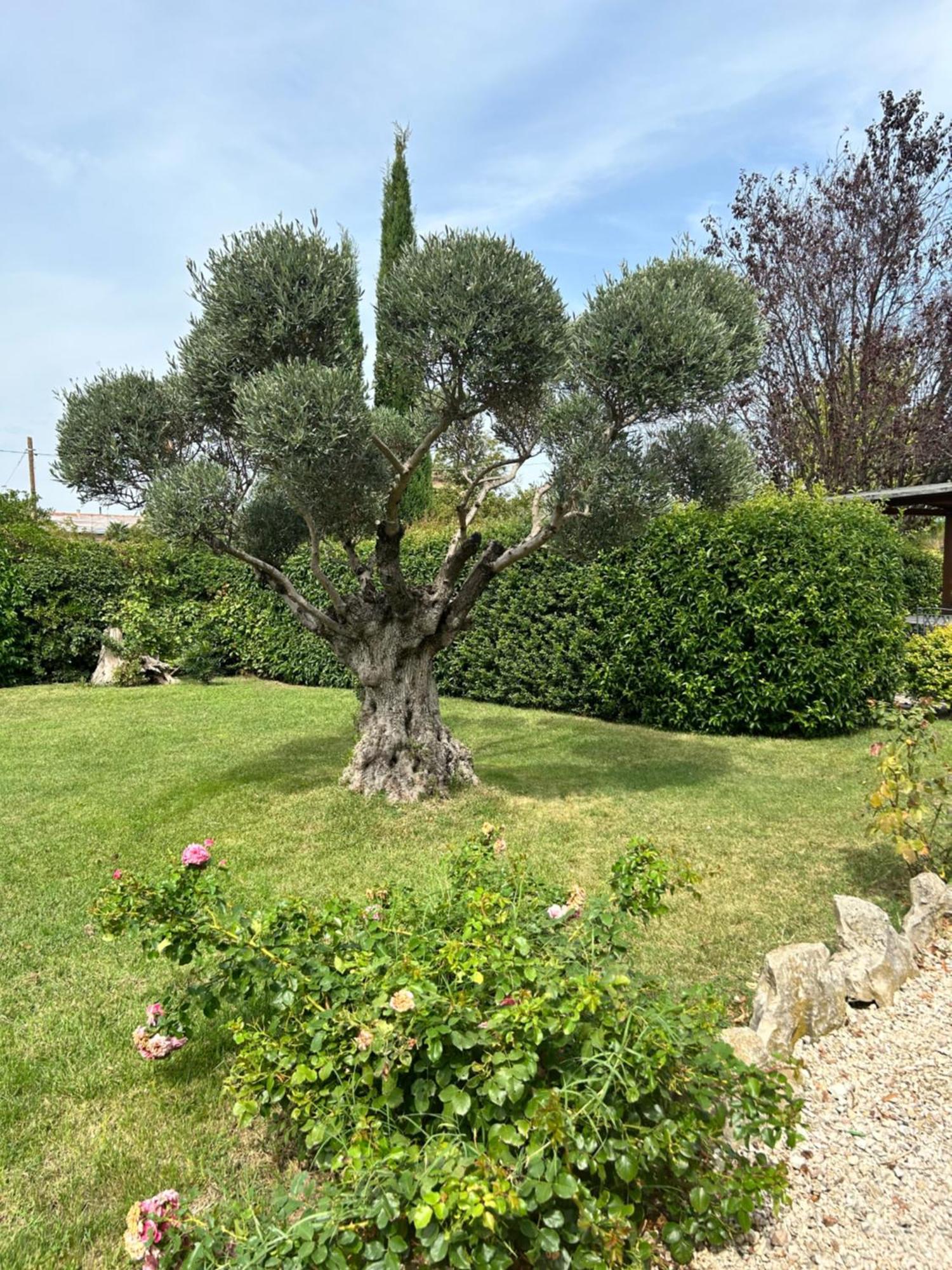 Guest house La Perla Di