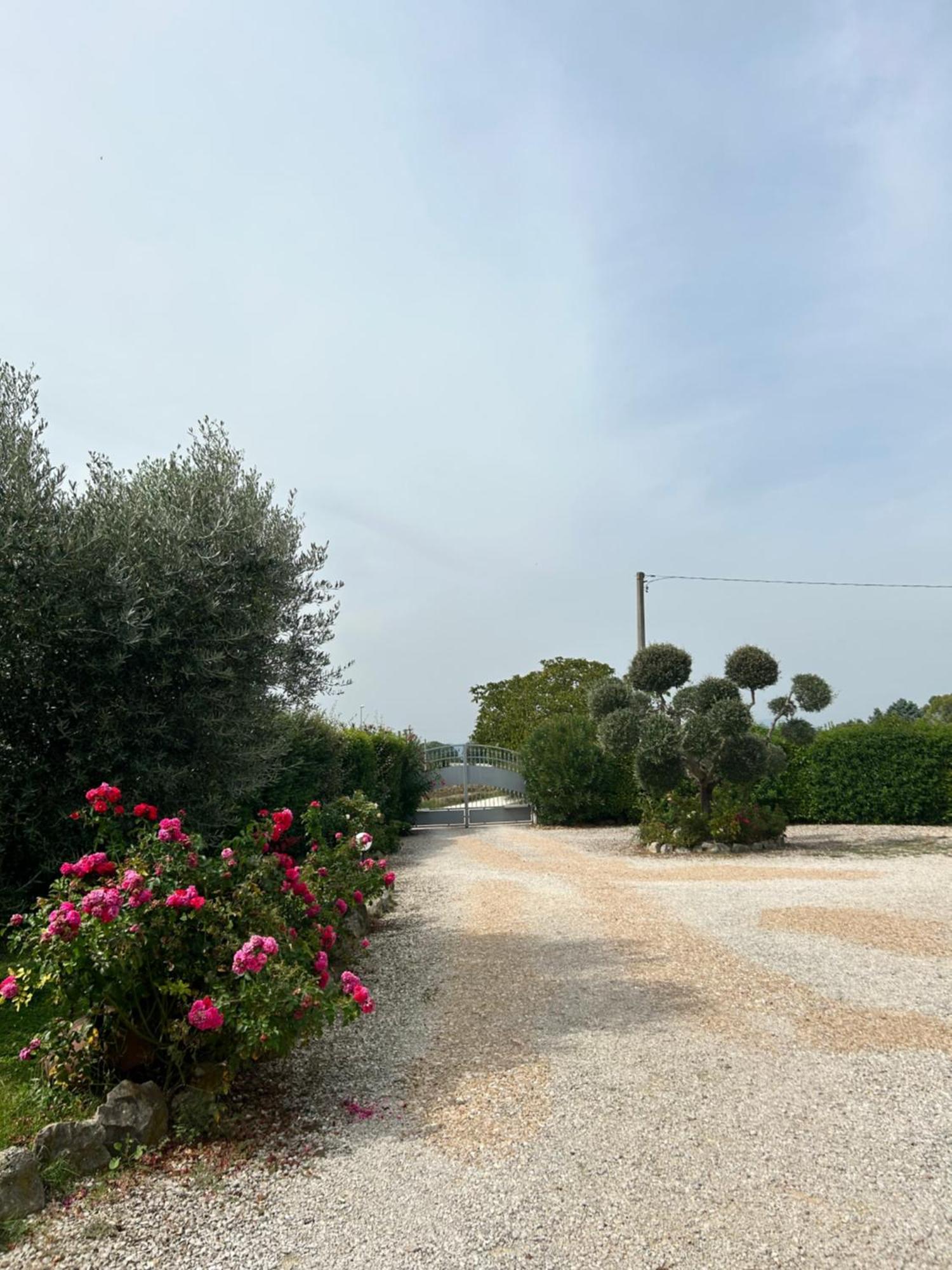 La Perla Di *