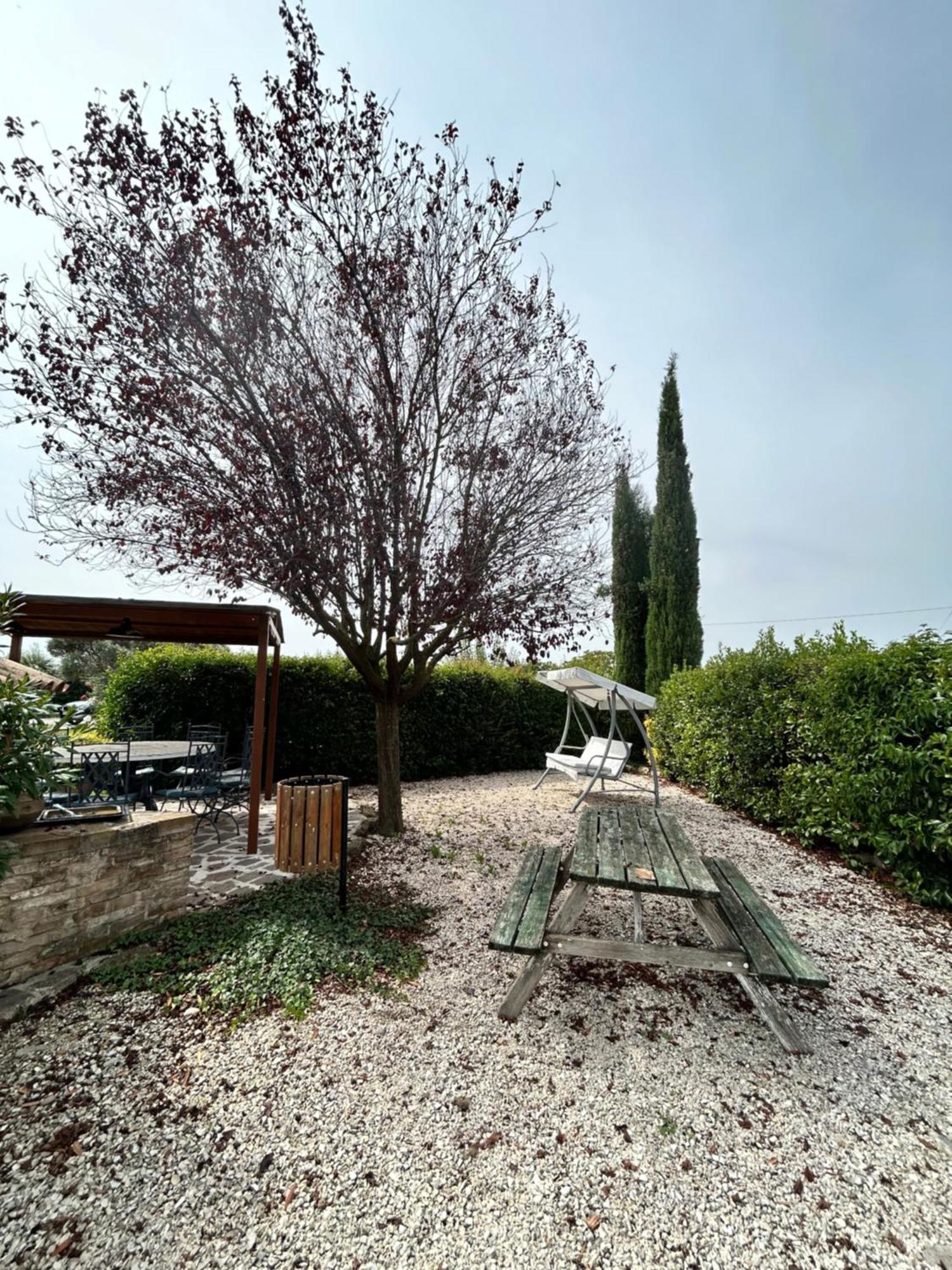 Guest house La Perla Di