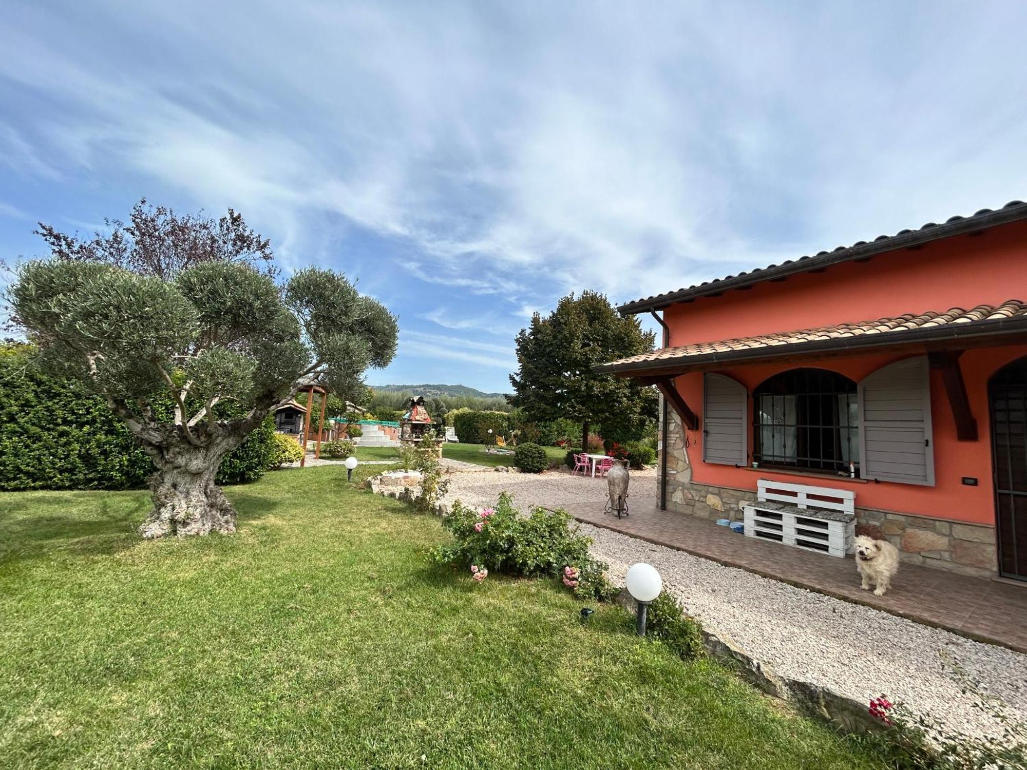 Guest house La Perla Di Assisi