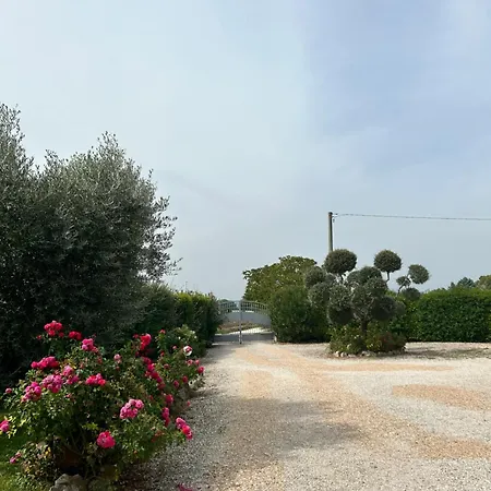 La Perla Di Assisi Hotel Exterior photo